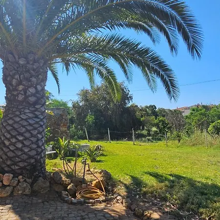 וילה Quinta Do Lagar - Rural Retreat By The #6