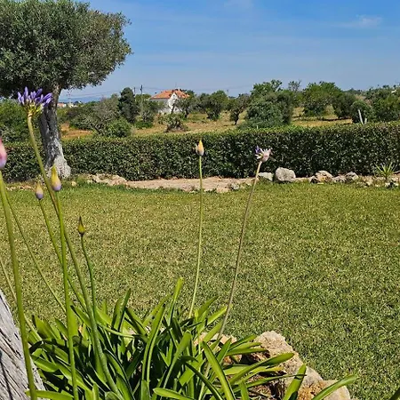 Quinta Do Lagar - Rural Retreat By The #6 וילה אלבופיירה